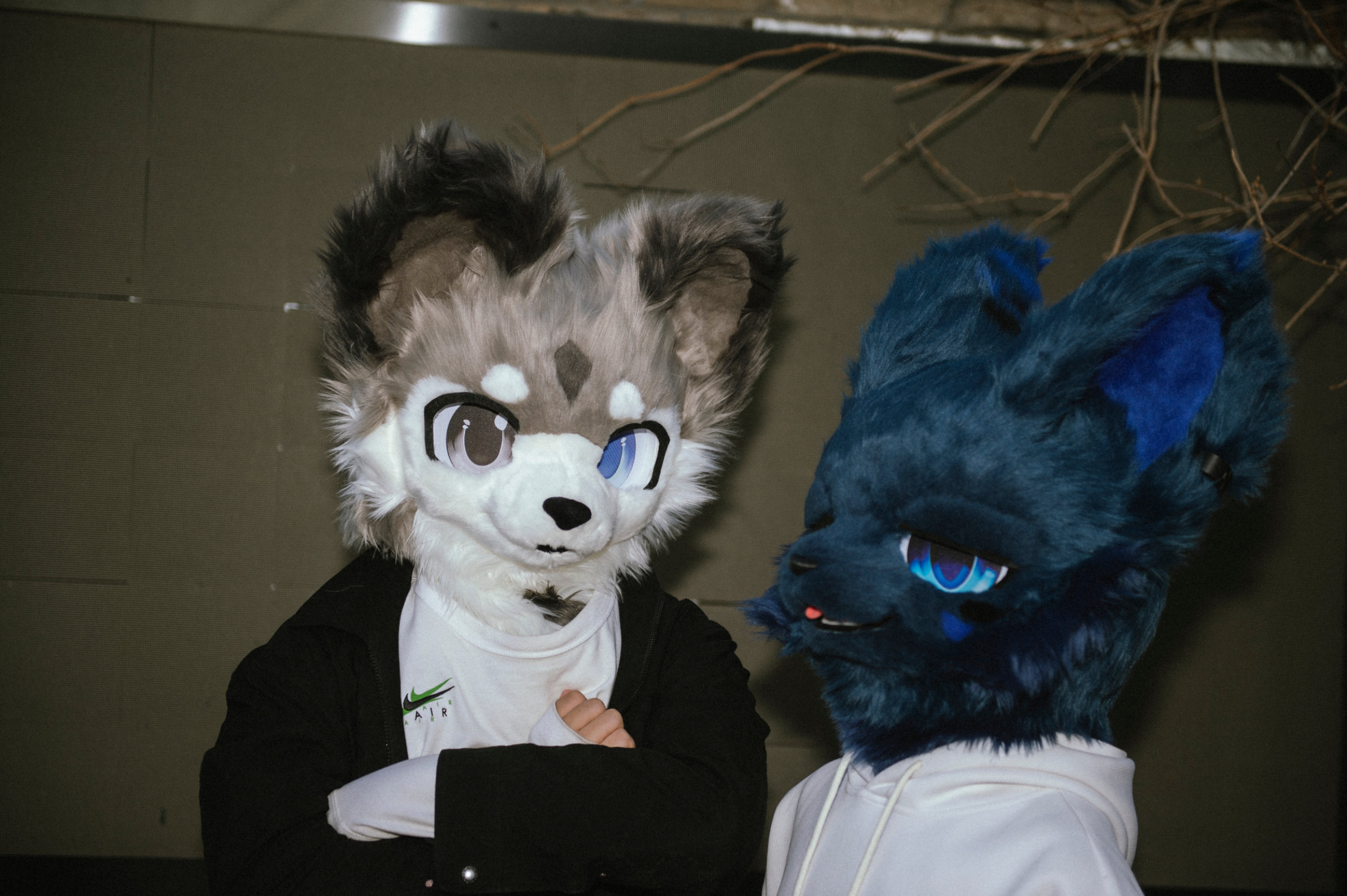 二选一？-Furry百科