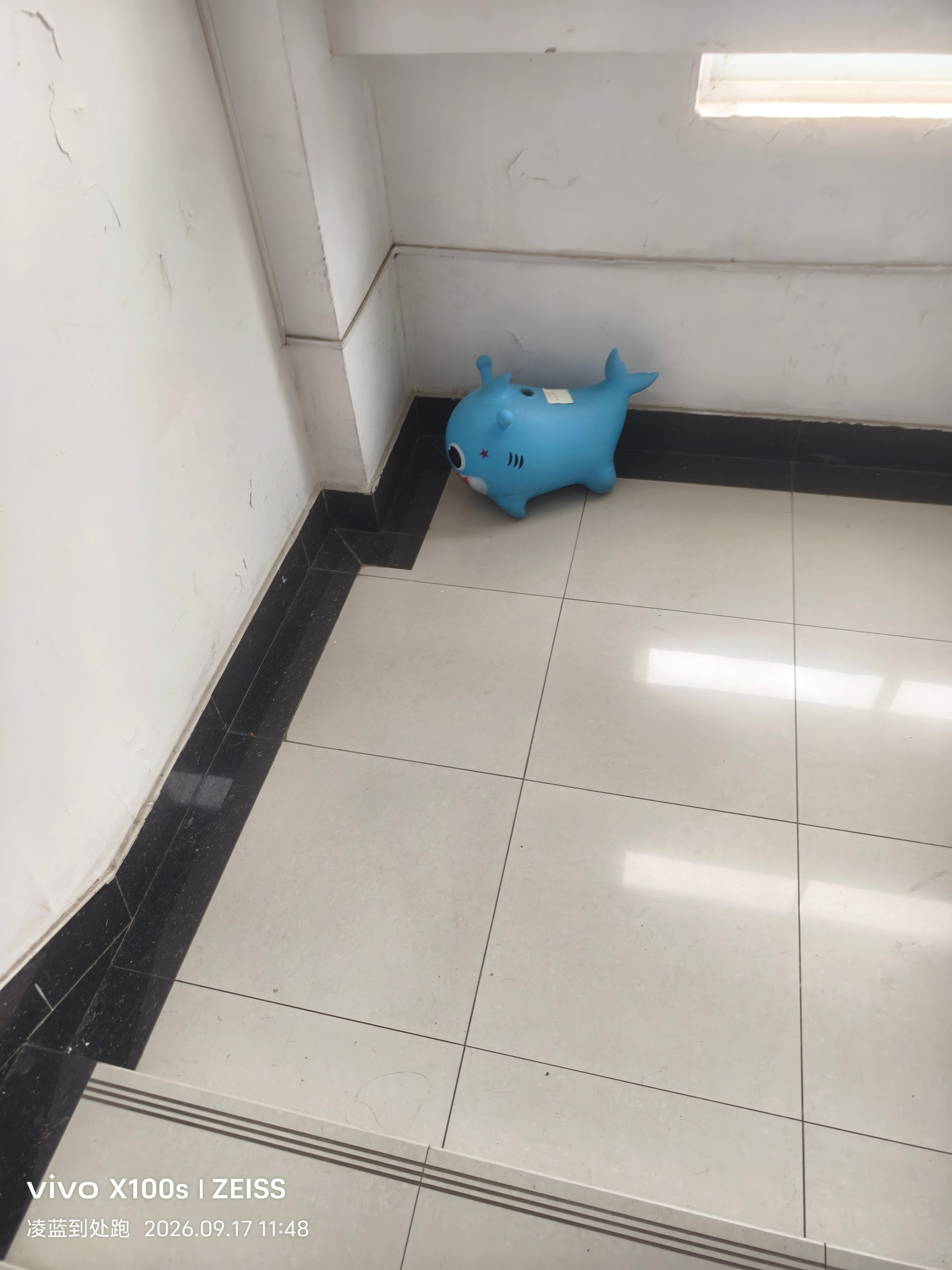 这是什么O.o-Furry百科