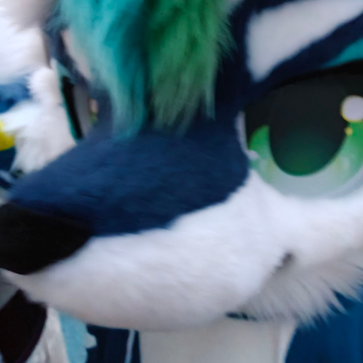 北海的头像-Furry百科
