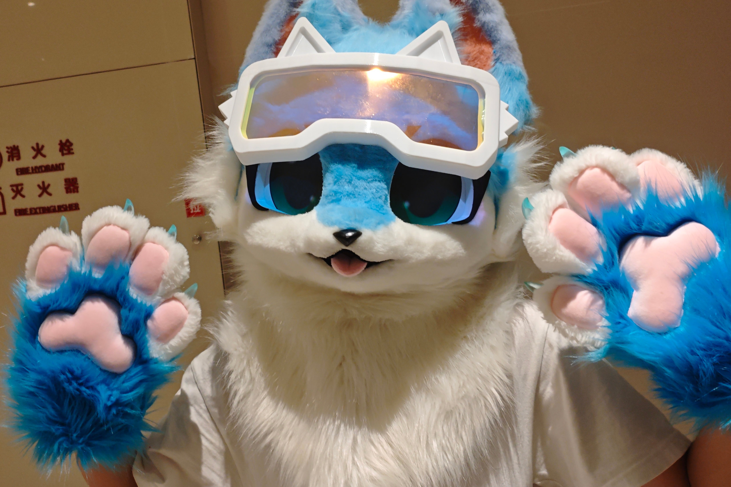 出毛！-Furry百科