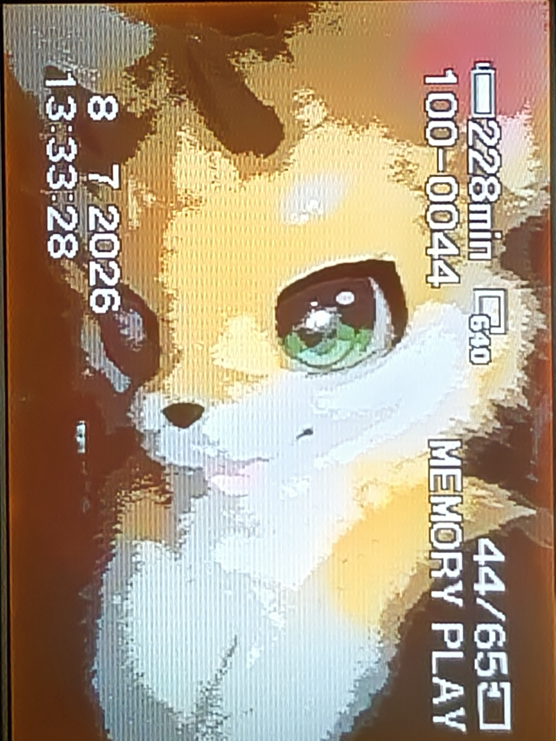 一些复古的拍摄-Furry百科