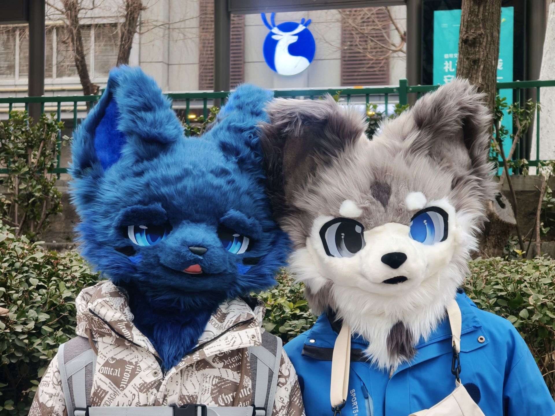 小情侣就是要换衣服穿-Furry百科