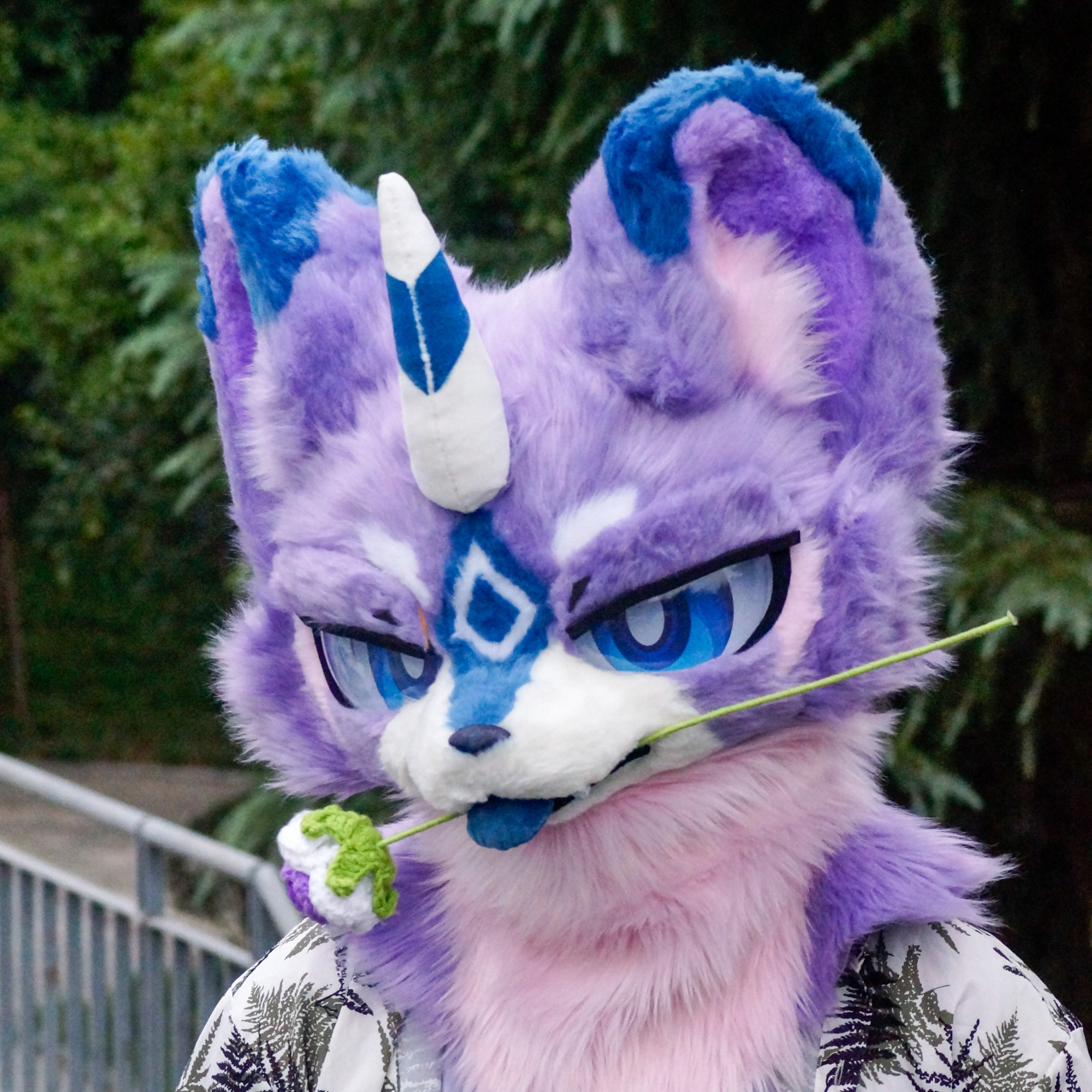 雲玖的头像-Furry百科
