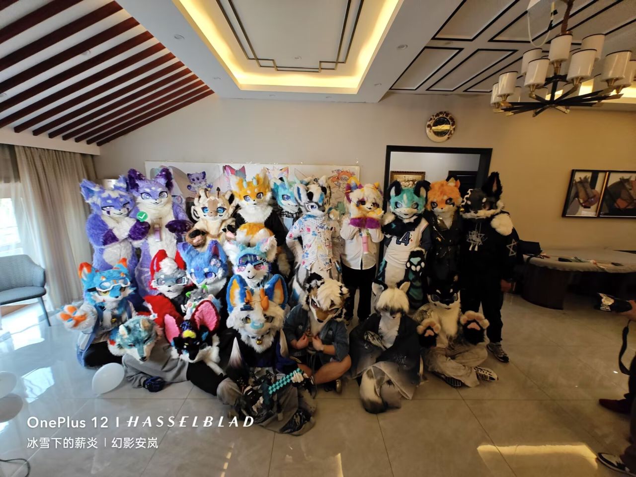 星岚圣域·第二届 展会封面-Furry百科