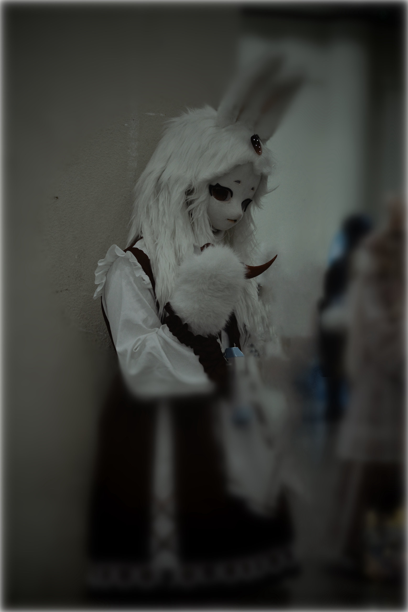 懒得等毛五了-Furry百科
