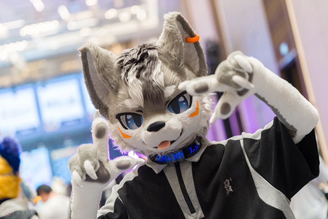 像素奇旅 纪念图集 5-Furry百科