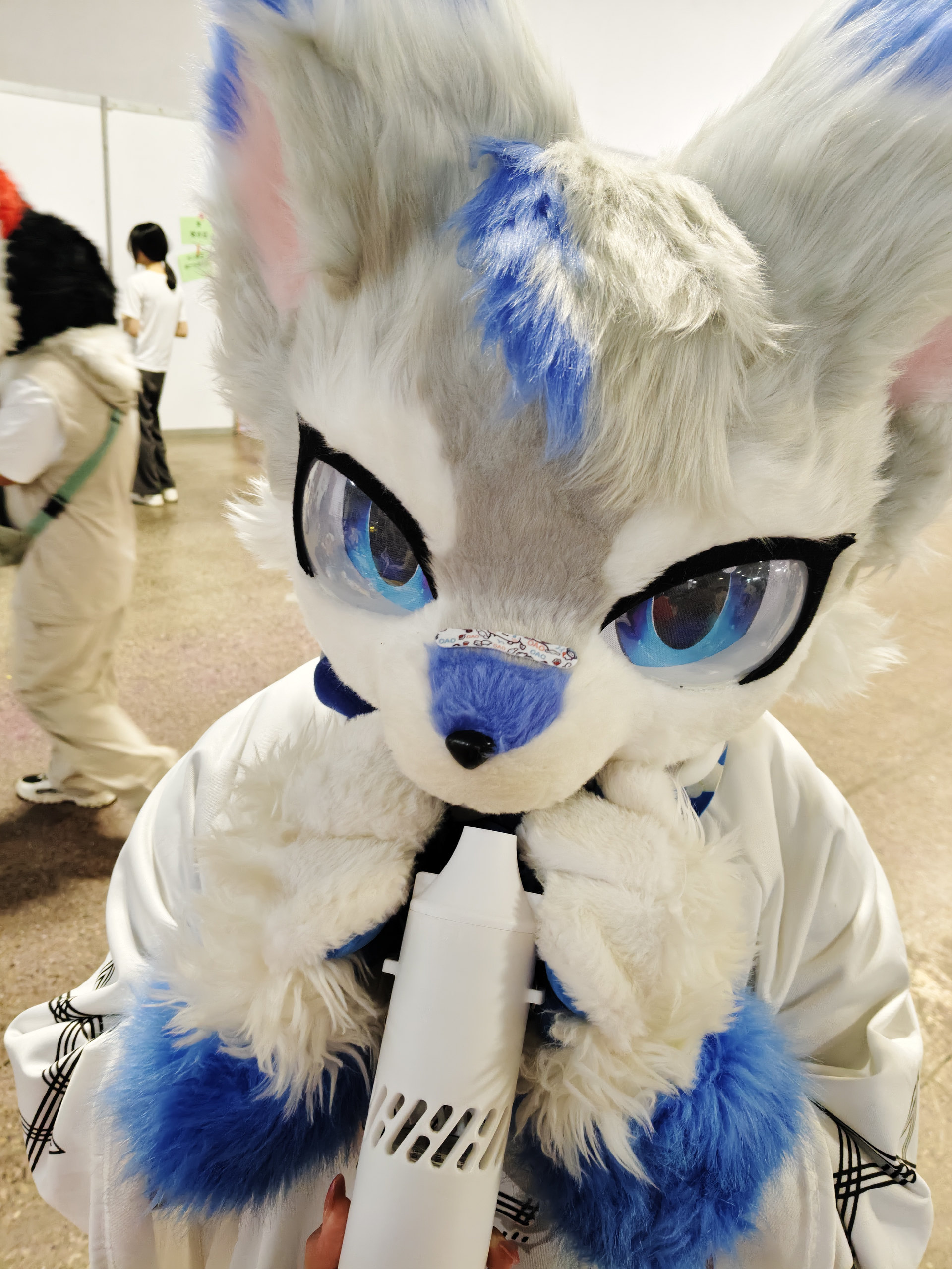 新人眼熟一波-Furry百科
