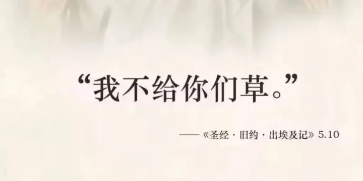 用户封面