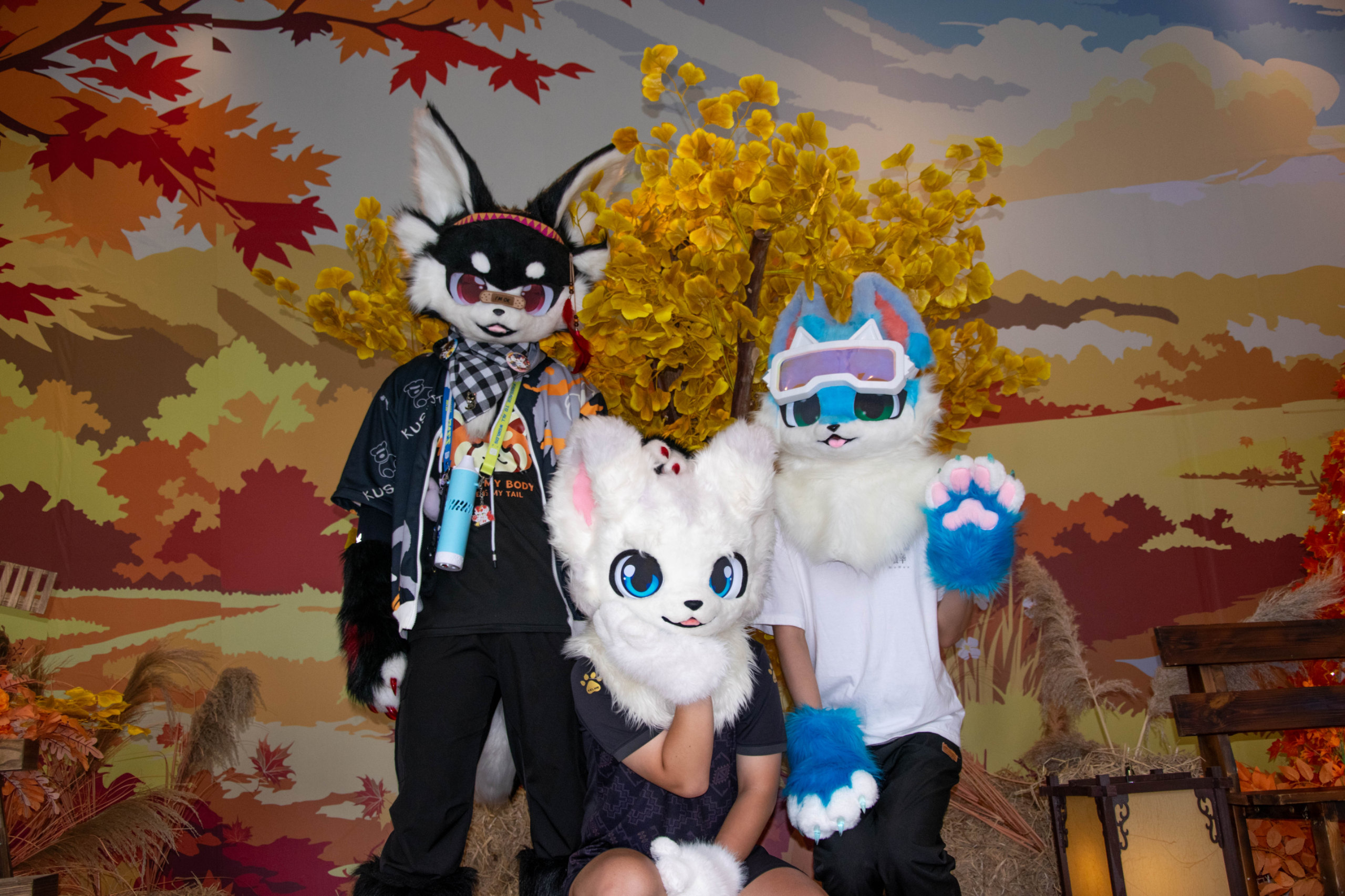 出毛！-Furry百科