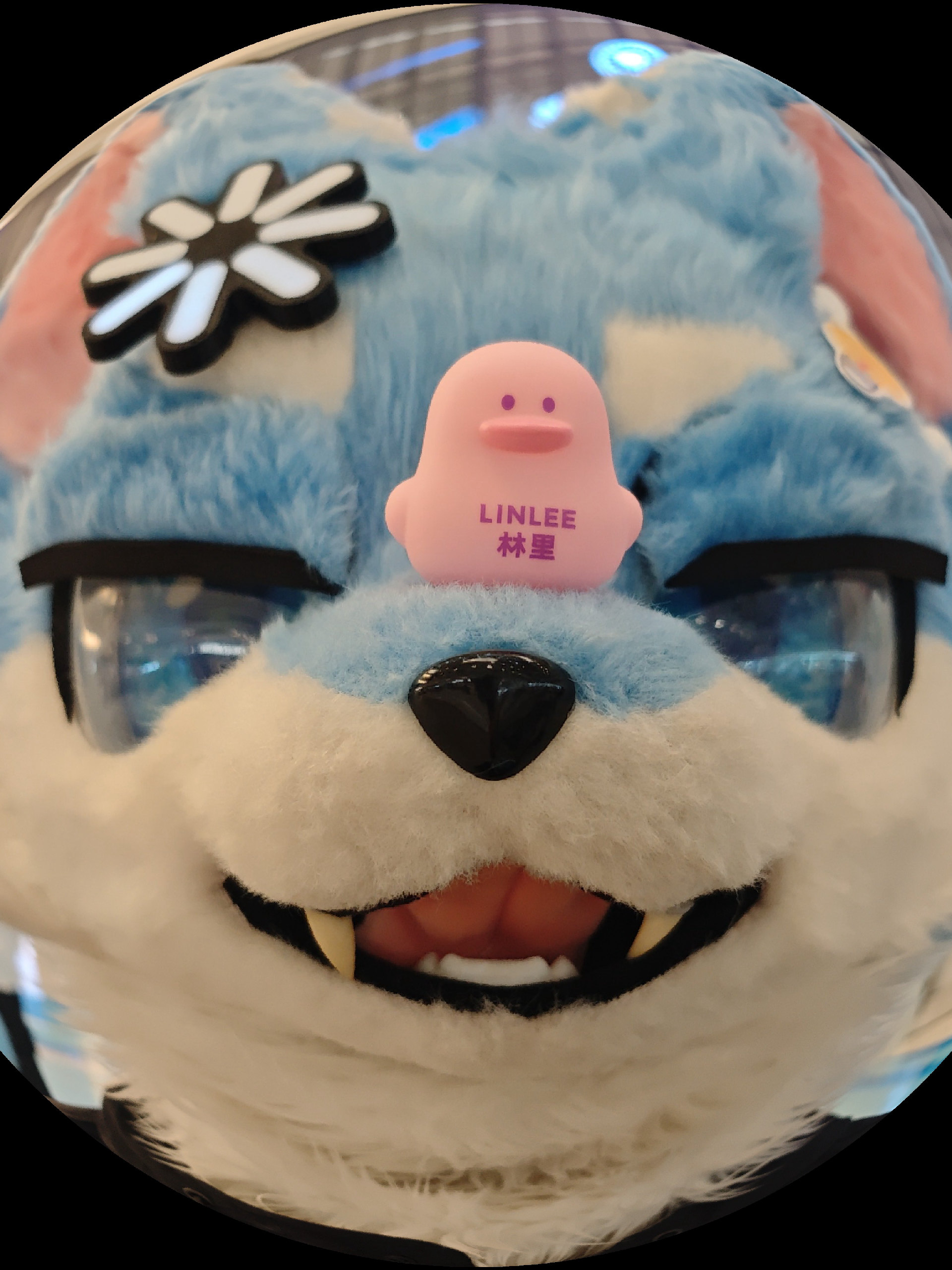 来发点图叭-Furry百科