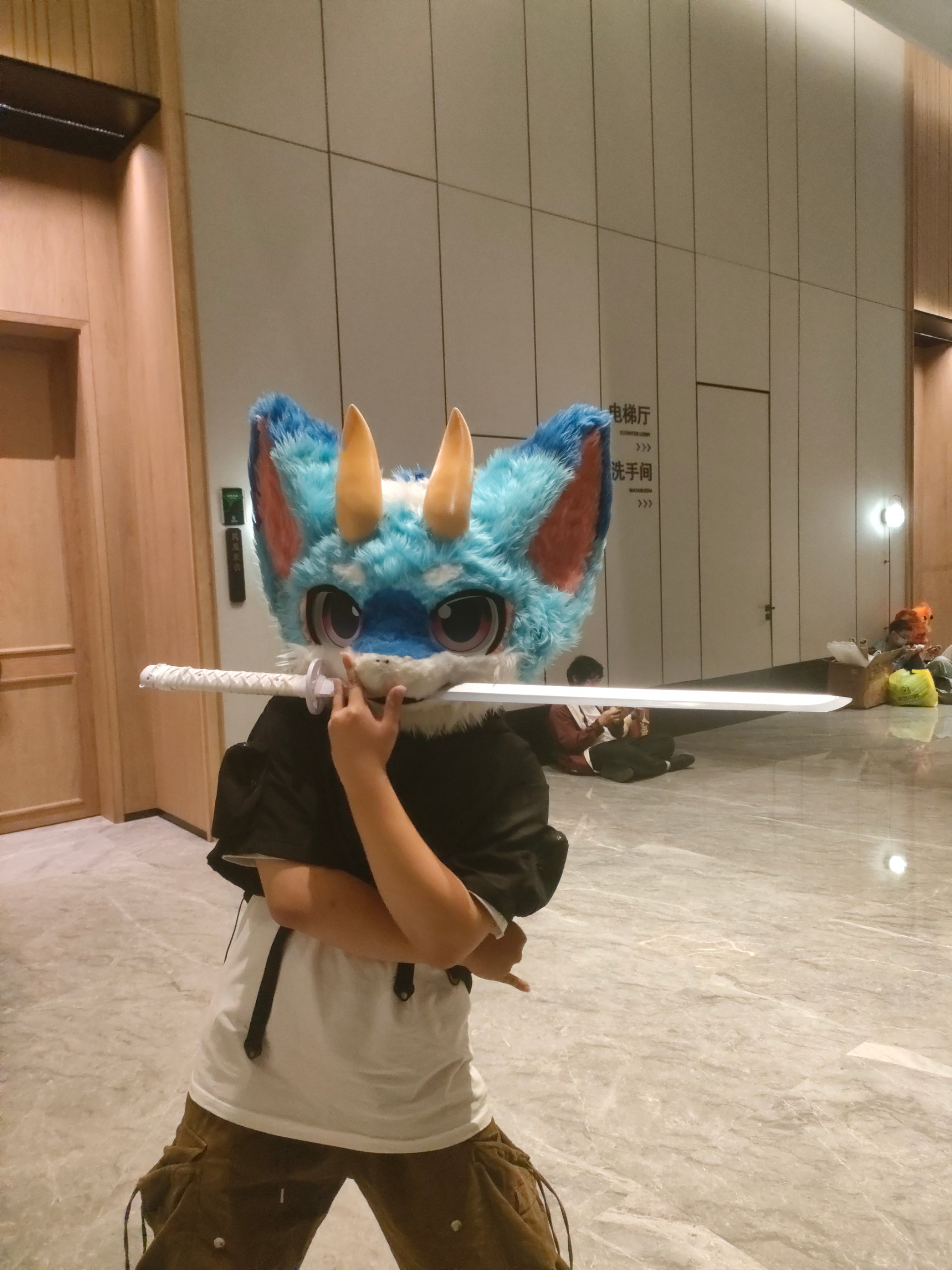 百兽行返图part2-Furry百科