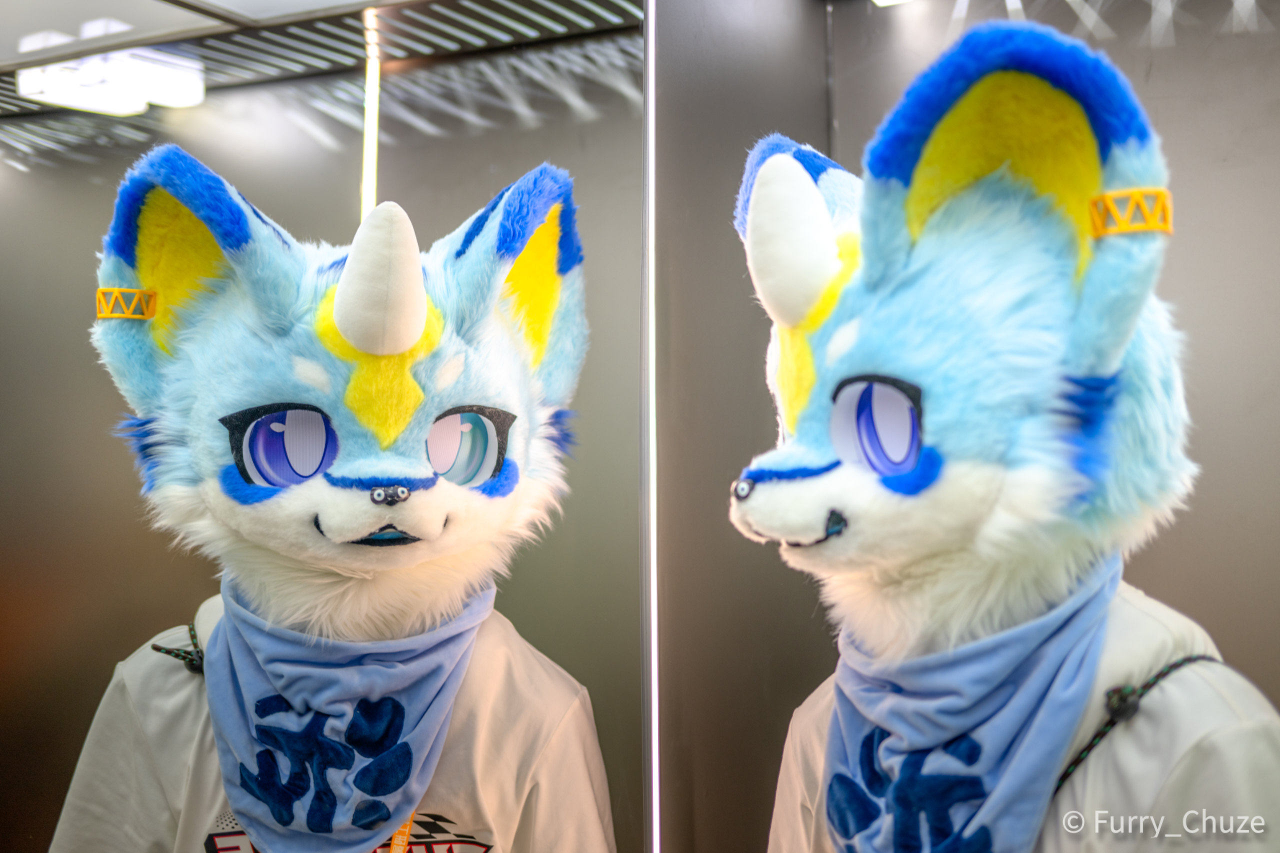 毛毛星期五~-Furry百科