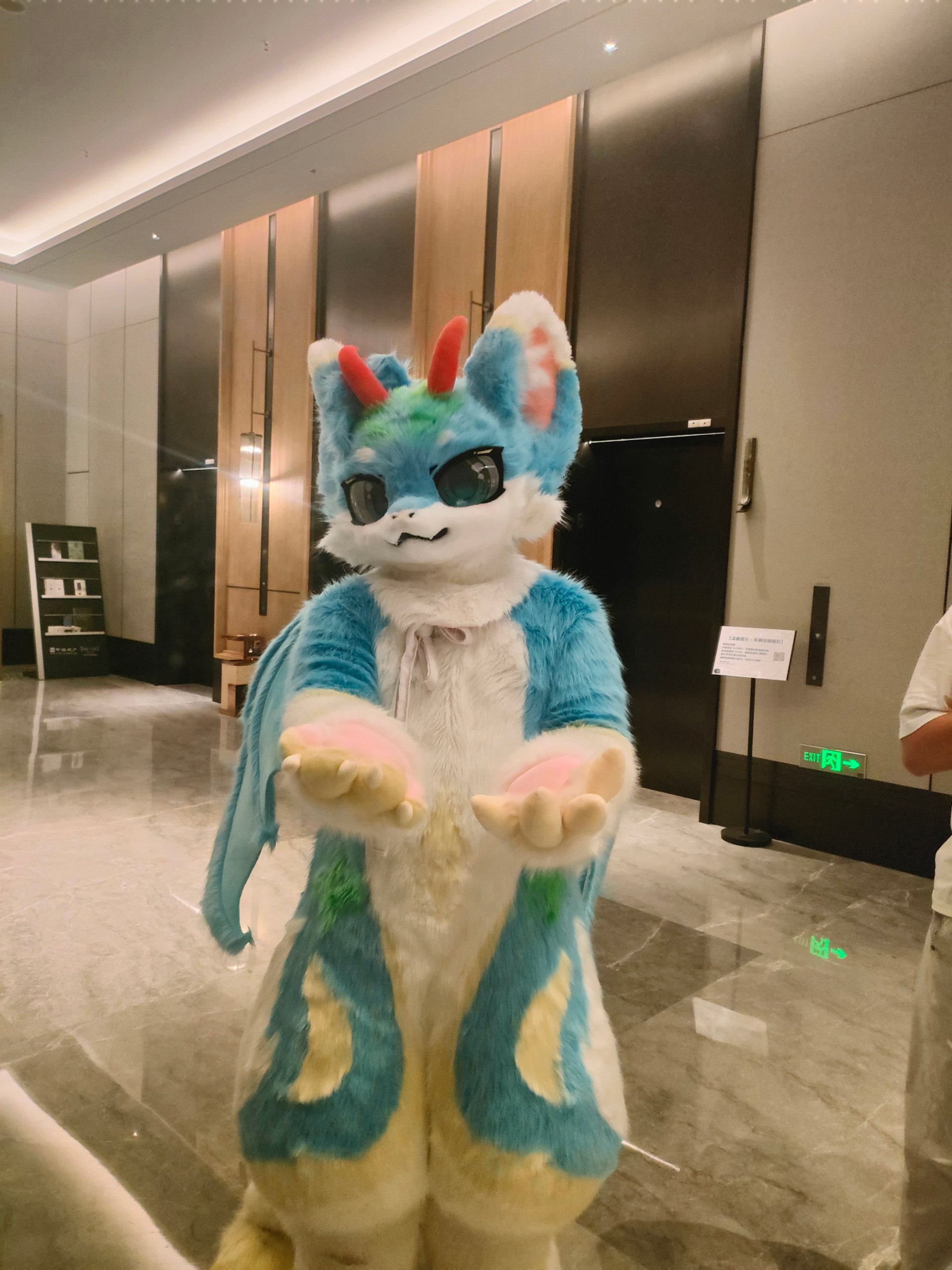 百兽行返图part2-Furry百科