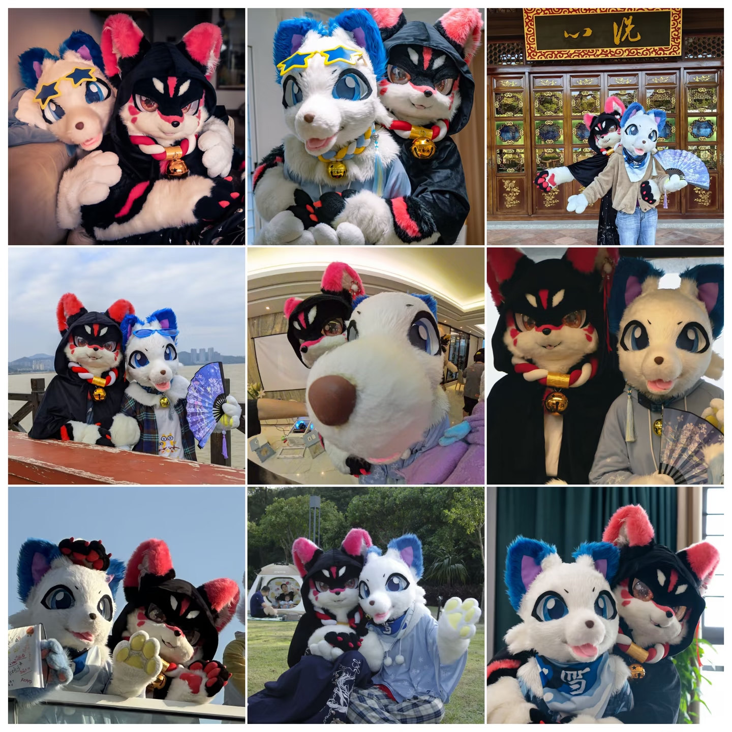 右划看小情侣线上/线下贴贴～-Furry百科