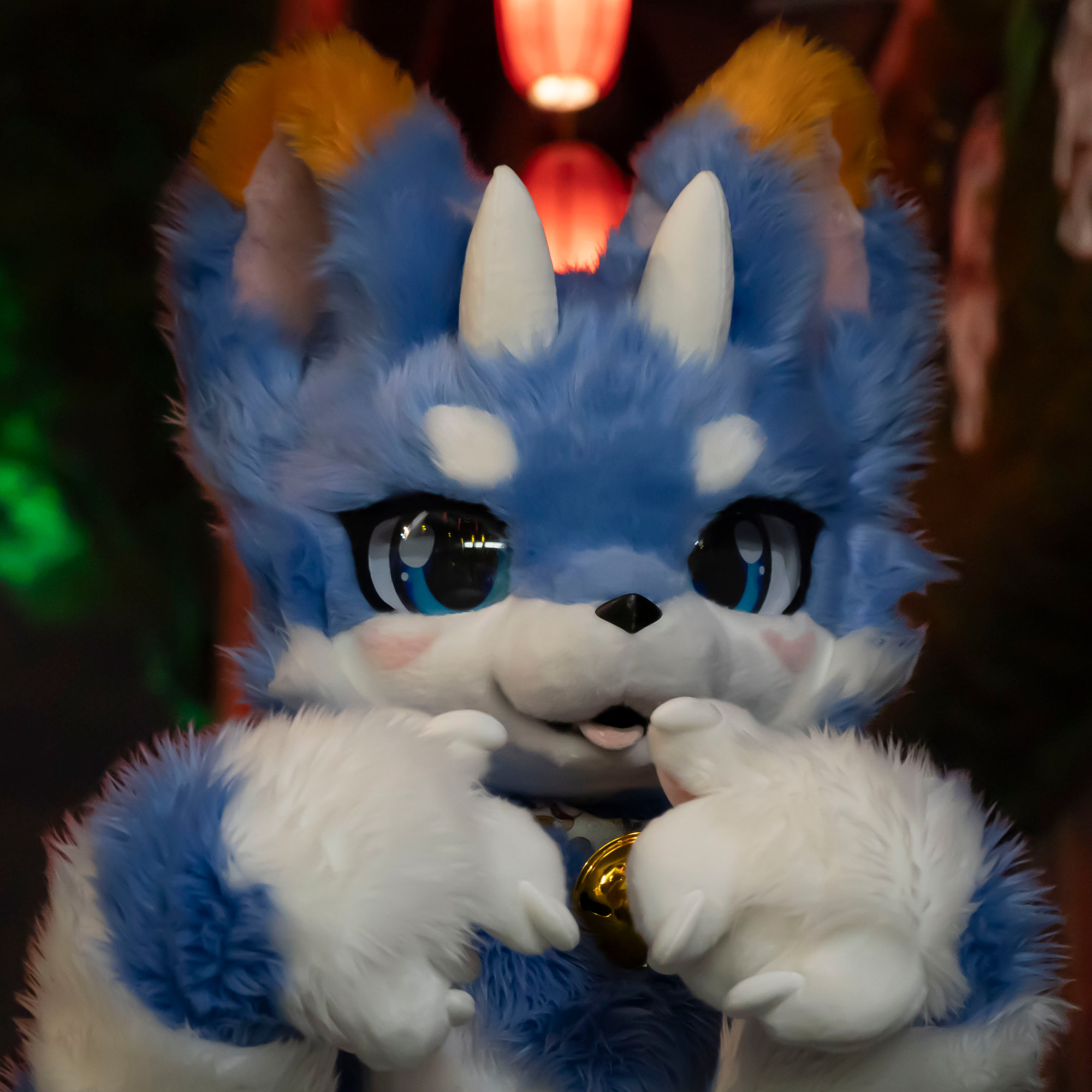 紫芯的头像-Furry百科