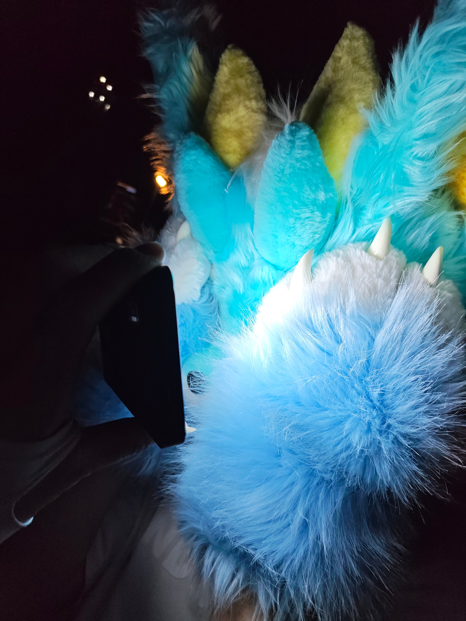 前途一片光明blac-Furry百科