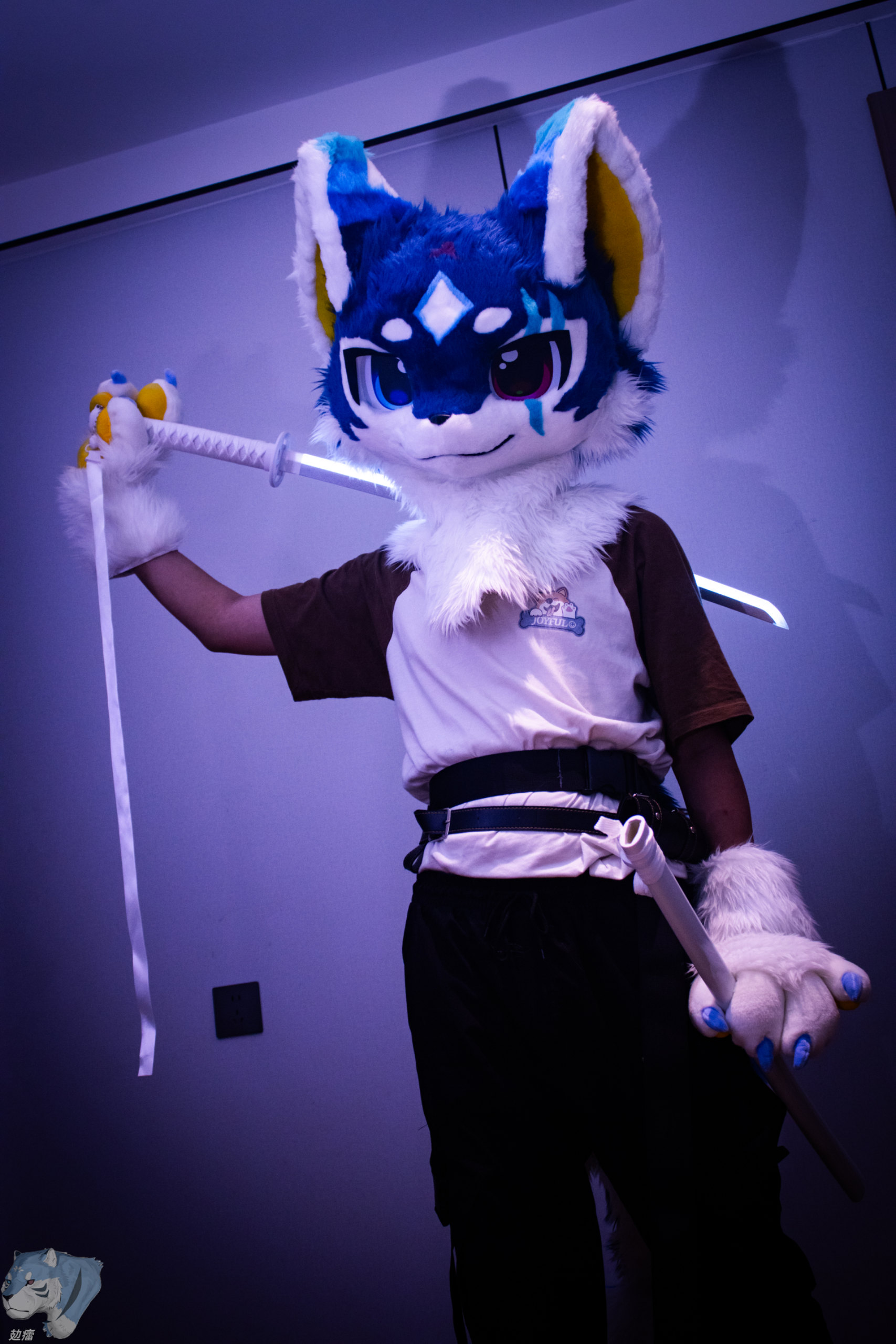 请输入文本 #Furry #兽装-Furry百科
