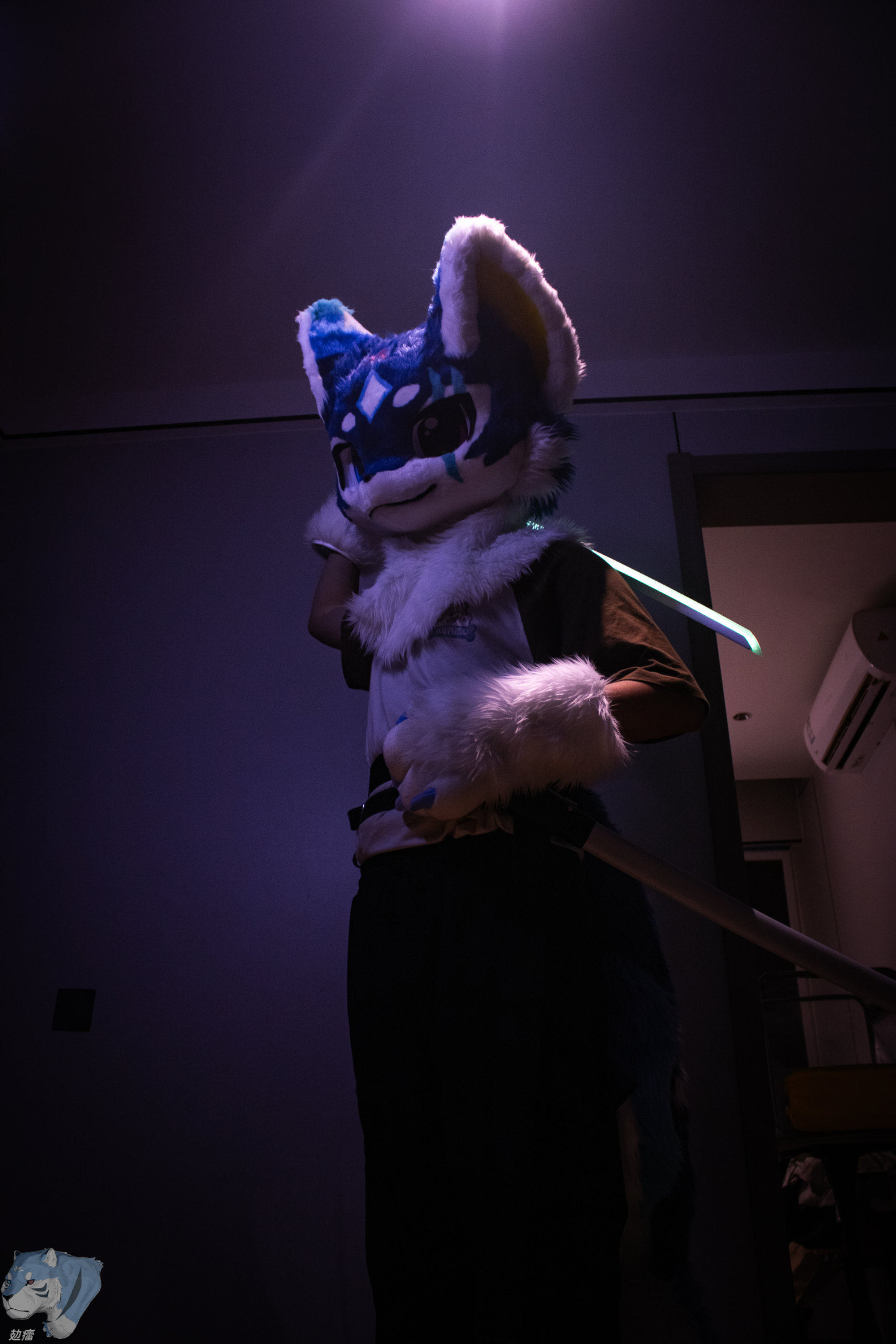 请输入文本 #Furry #兽装-Furry百科