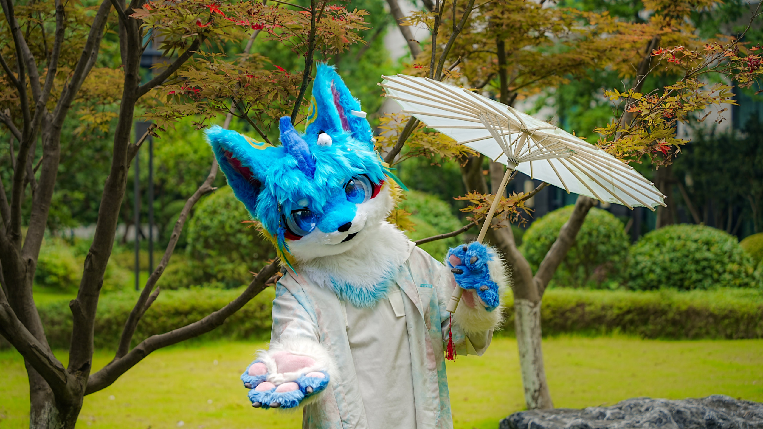 秋-Furry百科