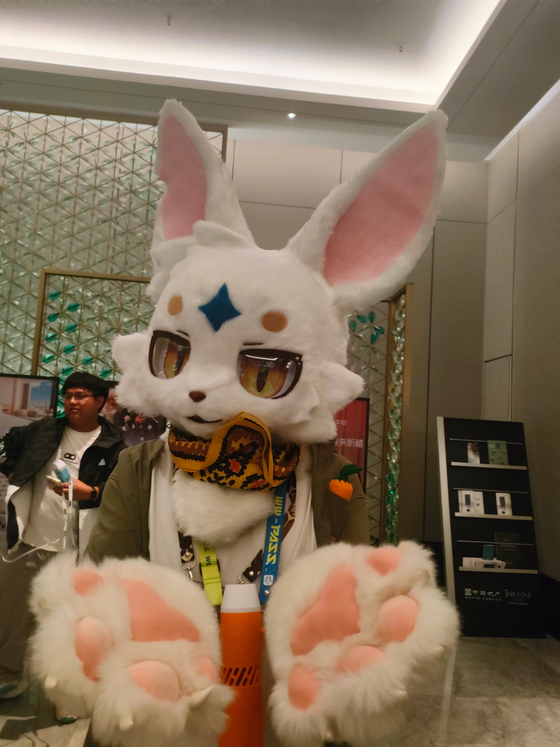 百兽行返图part3-Furry百科