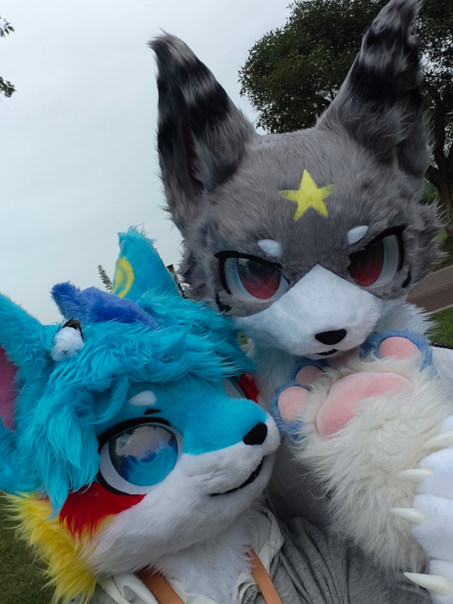 贴贴-Furry百科