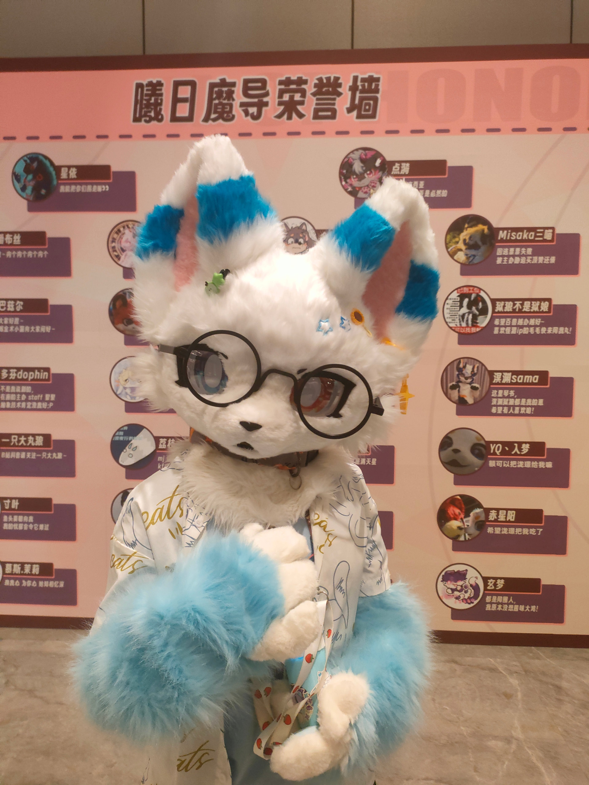 百兽行返图part2-Furry百科