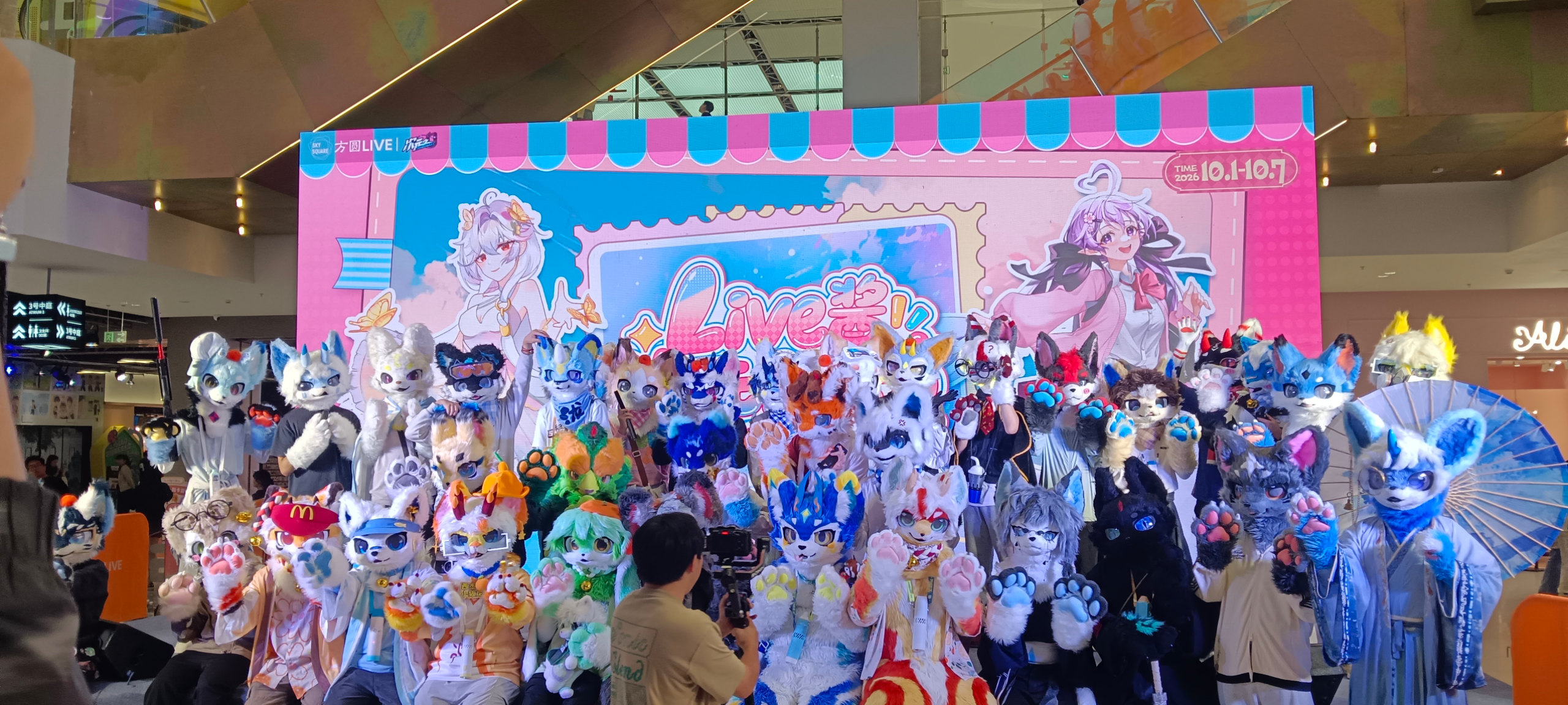 合肥·包河方圆LIVE-Furry百科