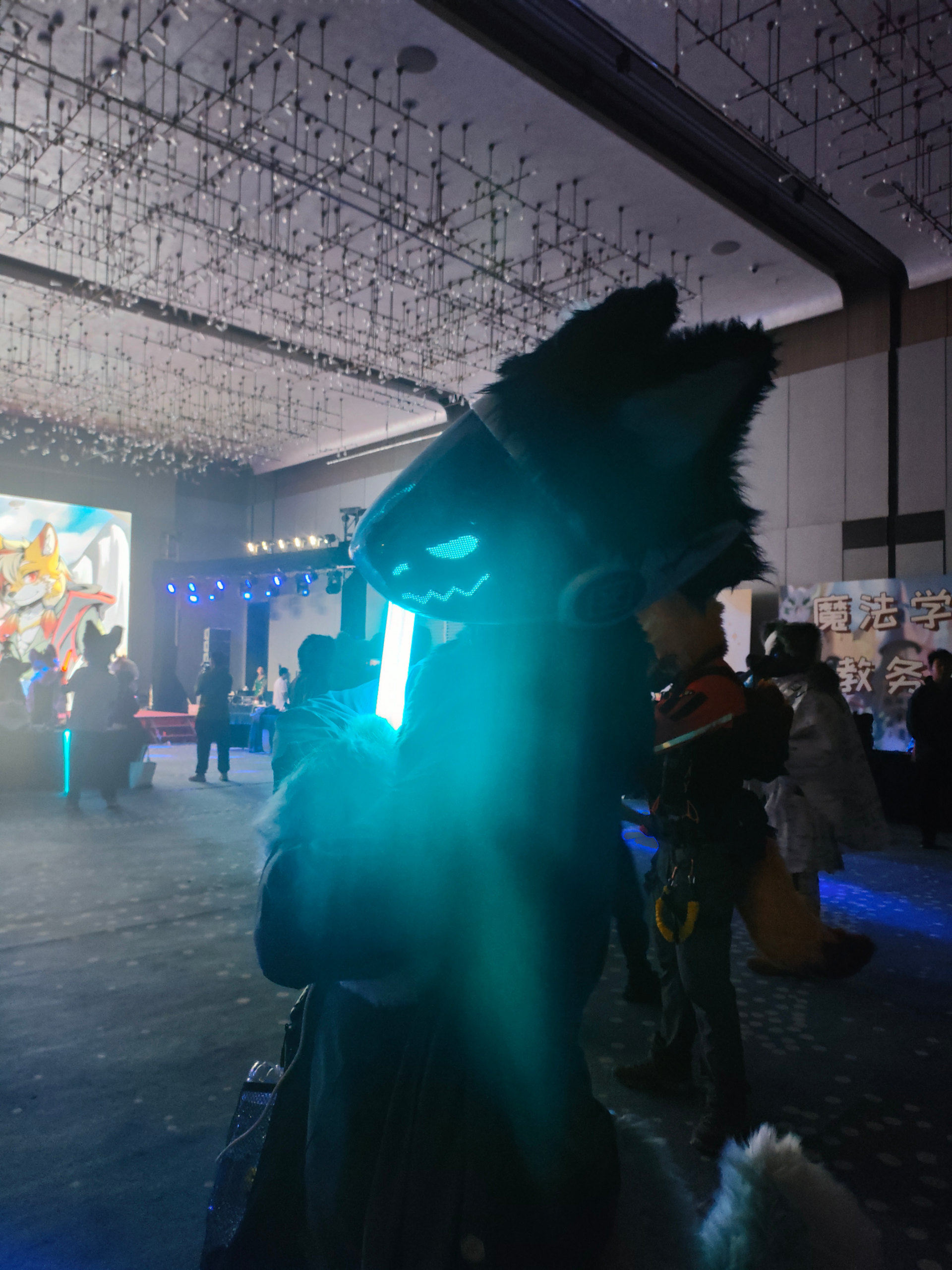 百兽行返图part3-Furry百科