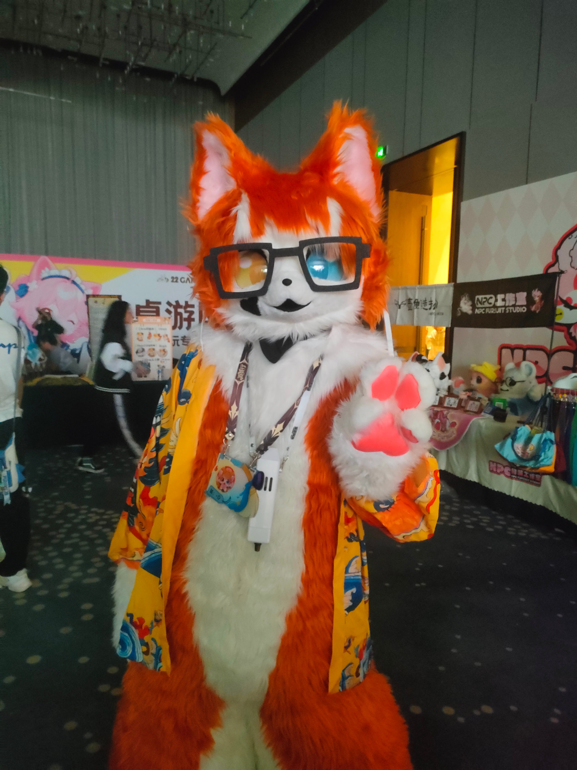 百兽行返图part2-Furry百科