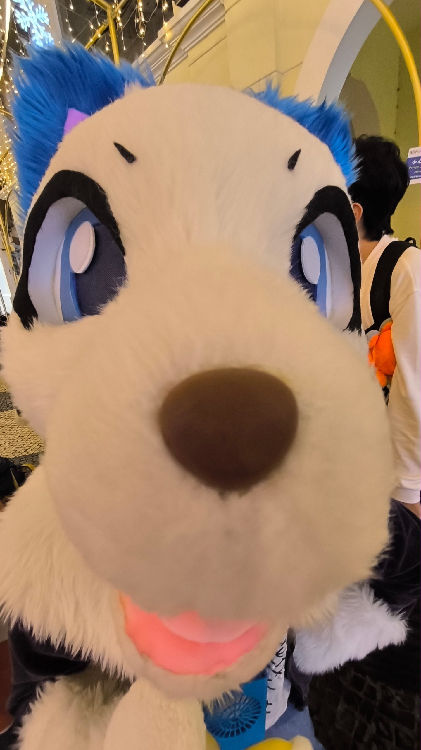 谁懂大鼻头-Furry百科