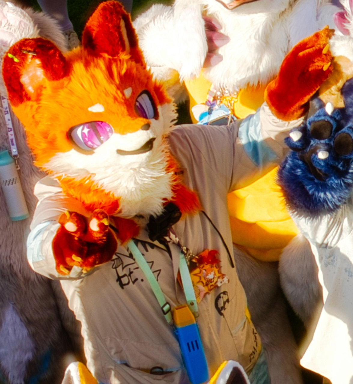 光-Furry百科