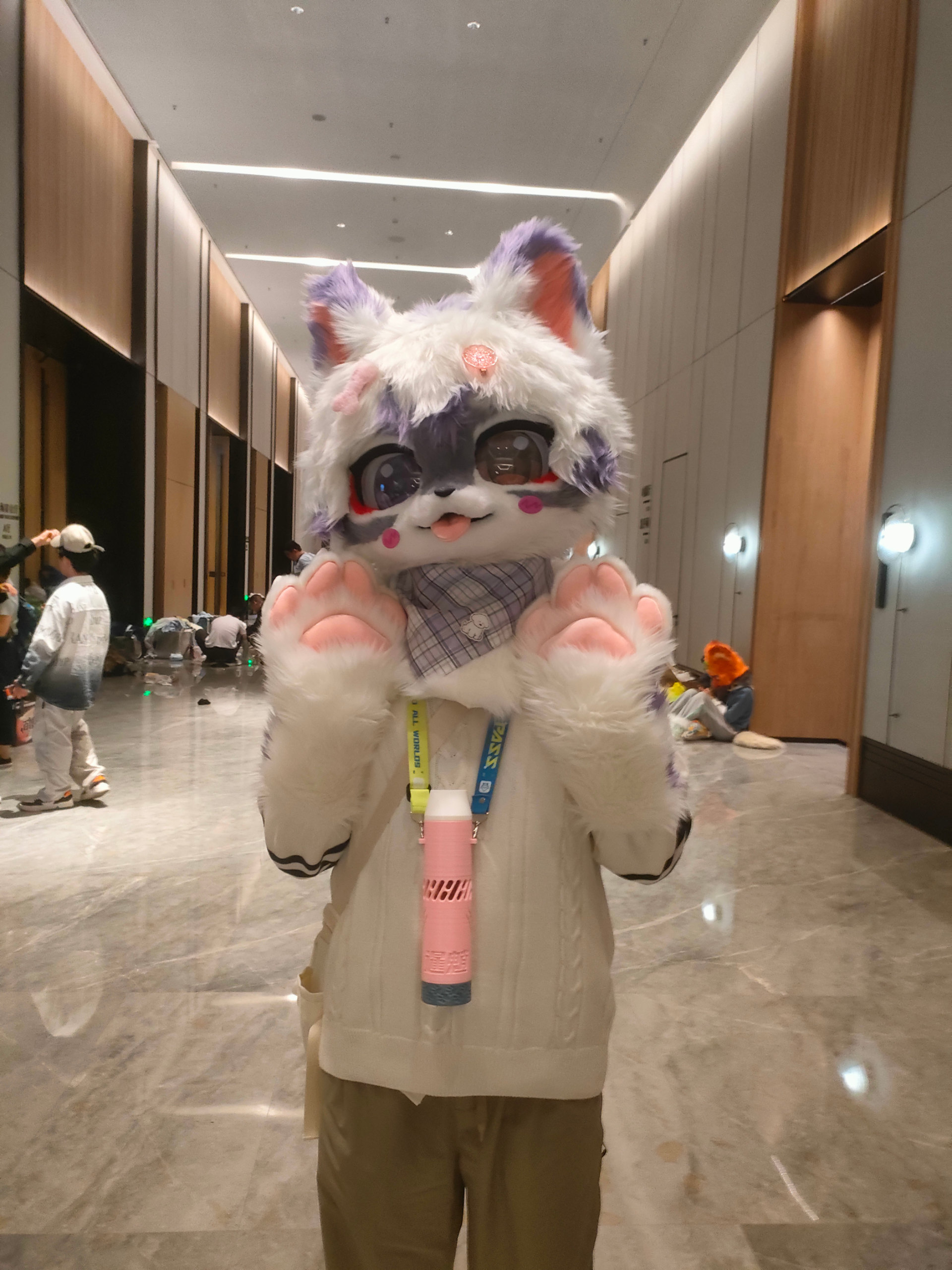 百兽行返图part1-Furry百科
