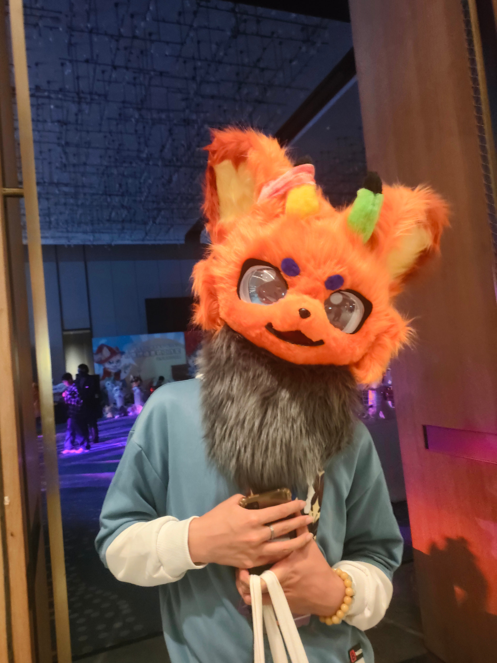 百兽行返图part3-Furry百科