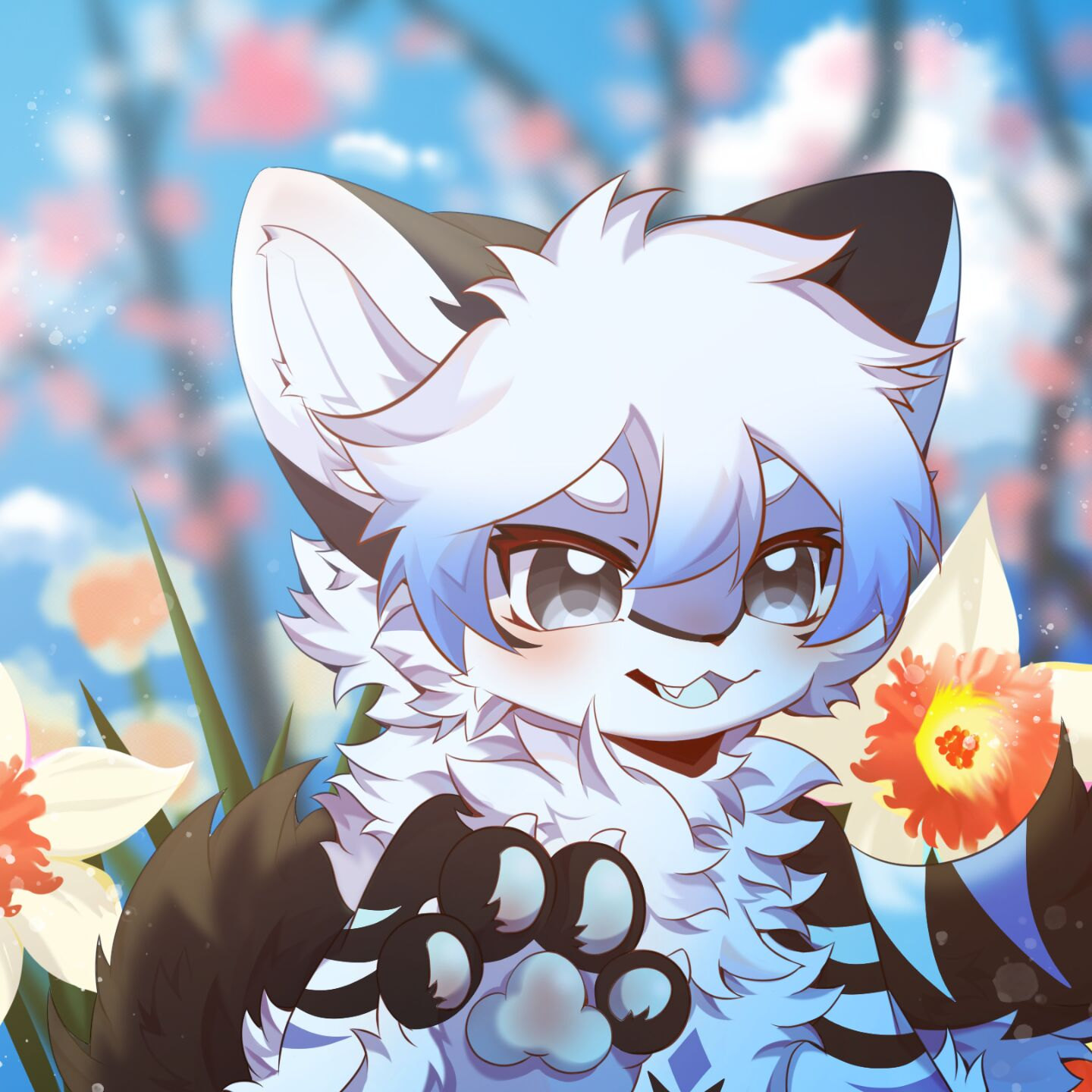 啵啵的头像-Furry百科
