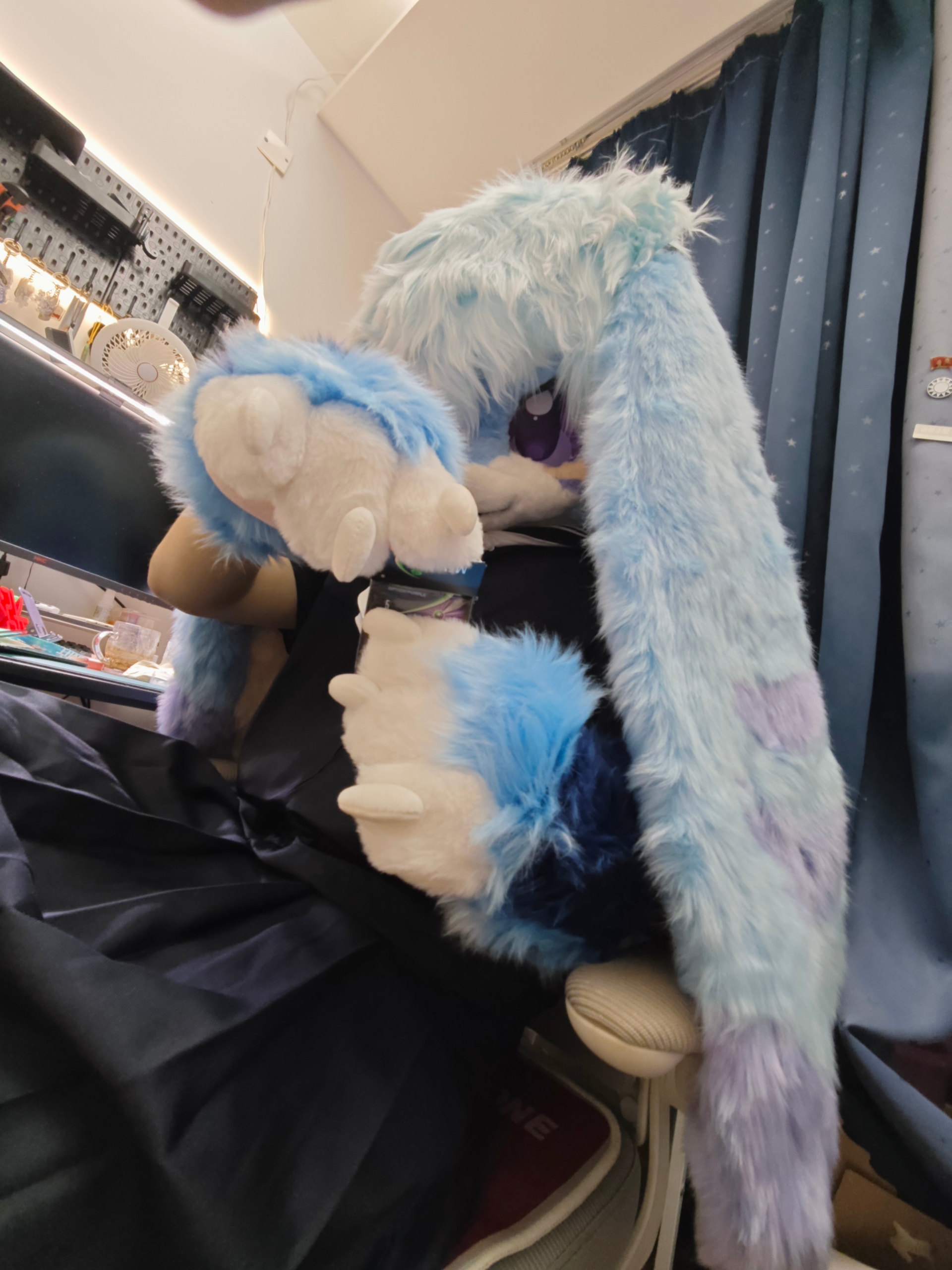 水手服兔子-Furry百科