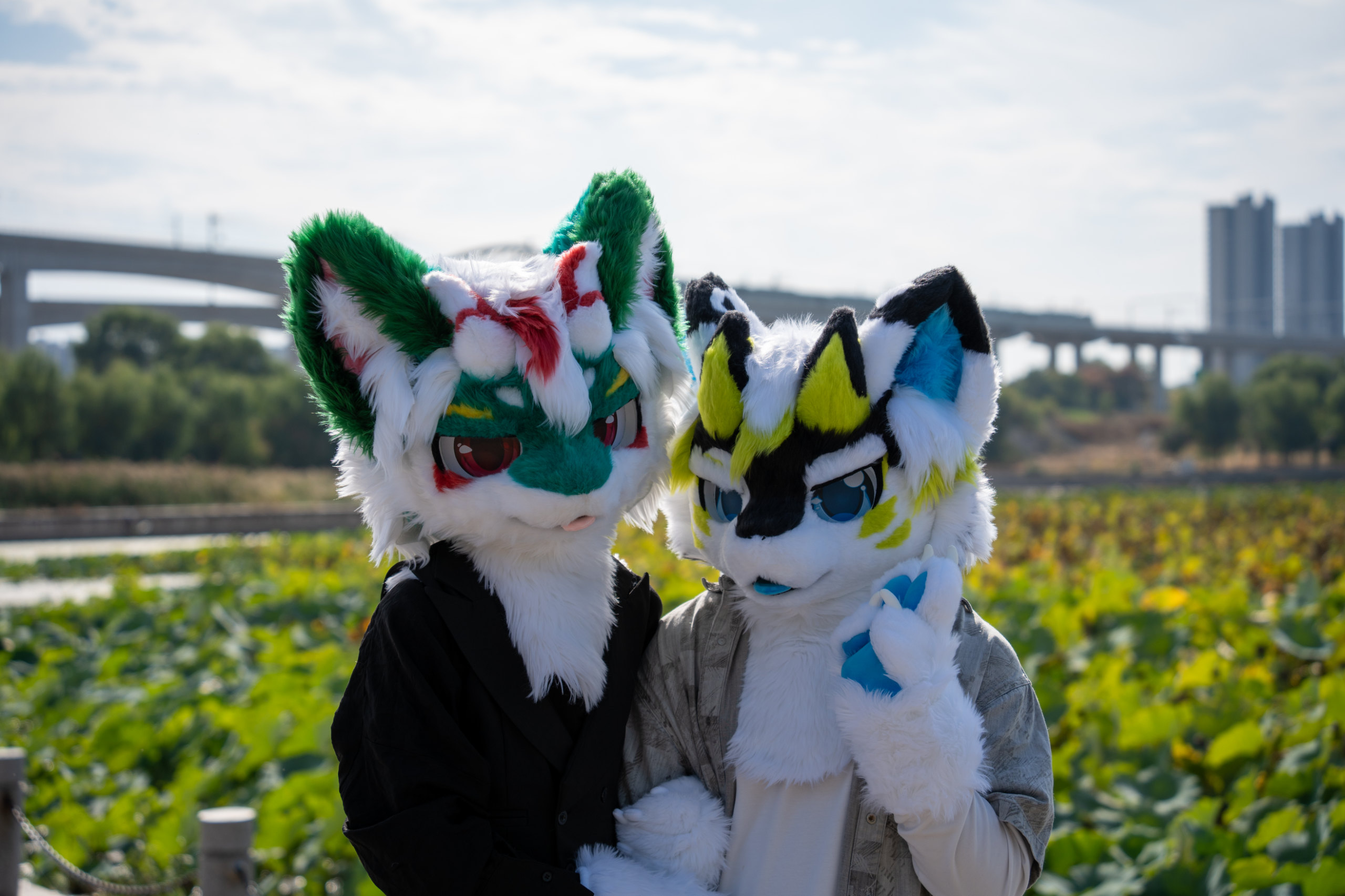 为数不多的出毛～-Furry百科