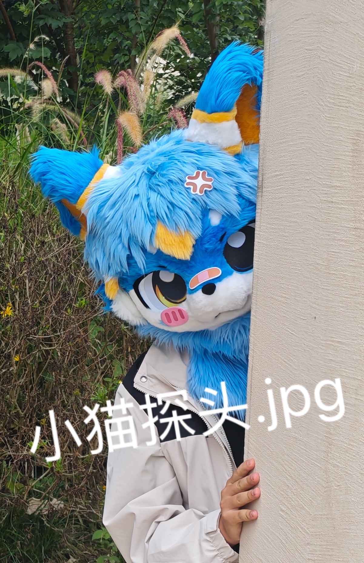 图集帖-Furry百科