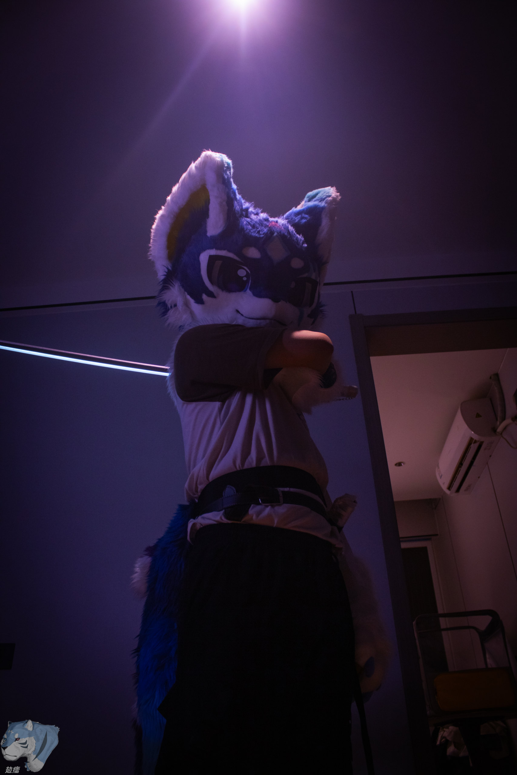 请输入文本 #Furry #兽装-Furry百科