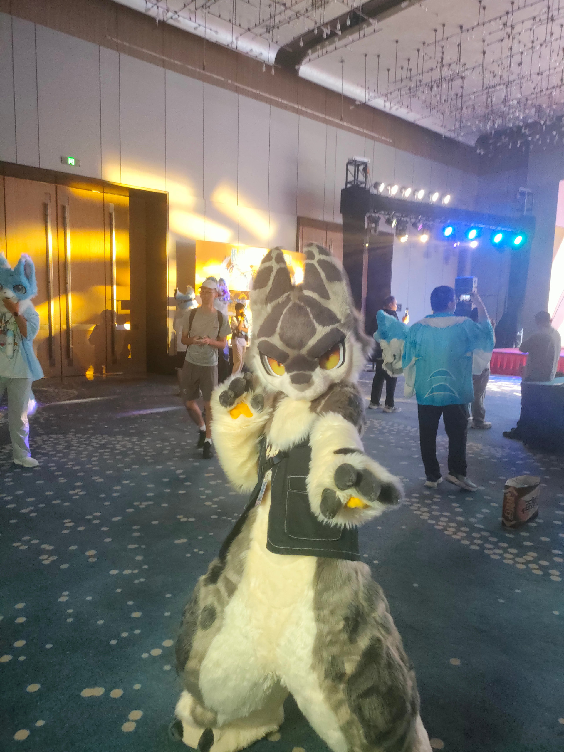 百兽行返图part3-Furry百科