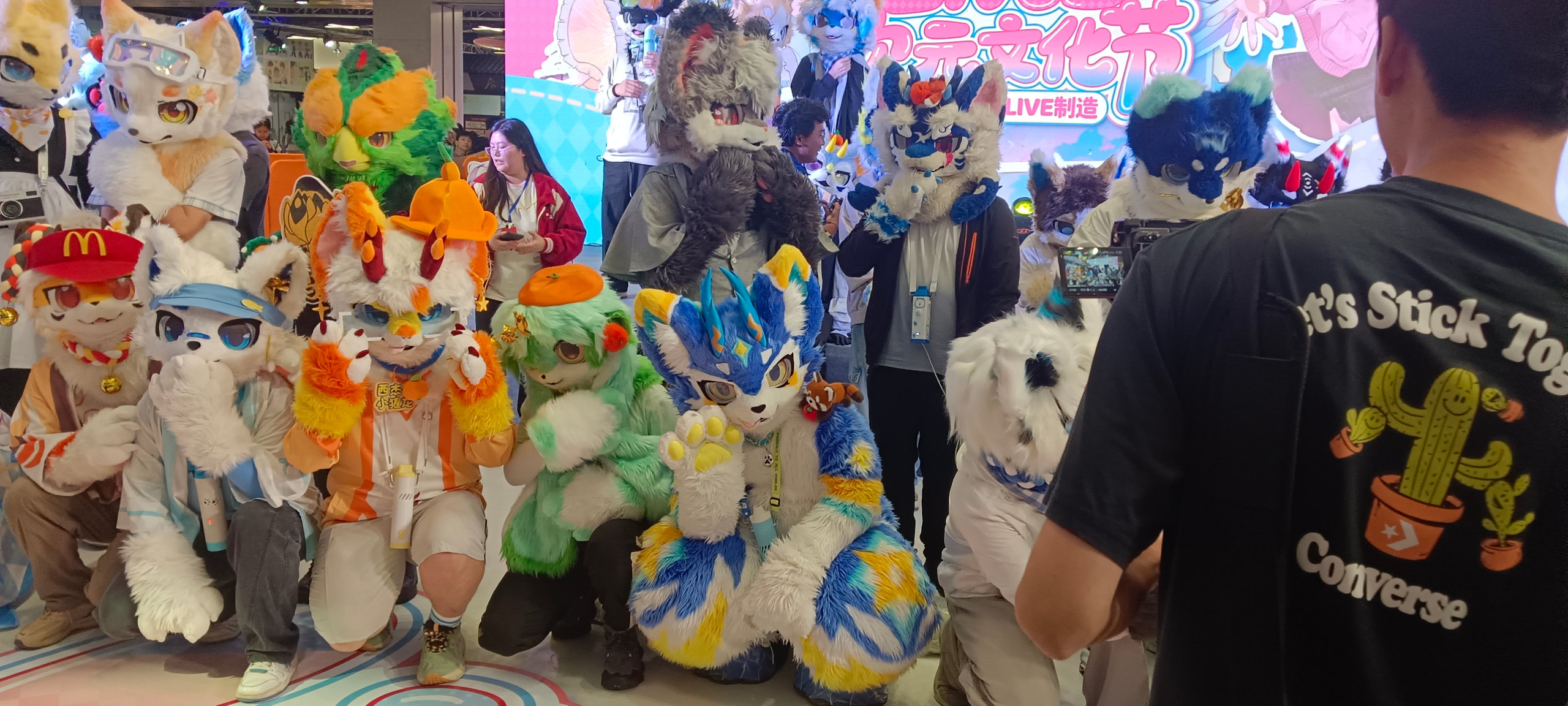 合肥·包河方圆LIVE-Furry百科