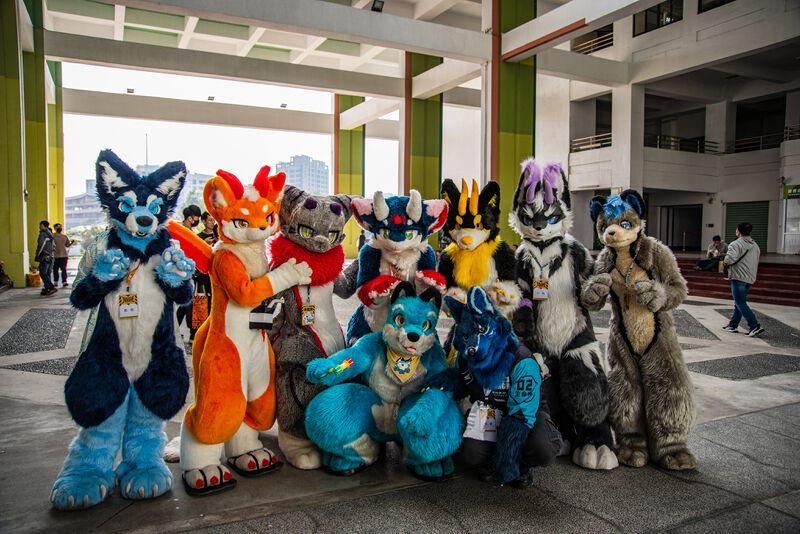 幻灯片-Furry百科