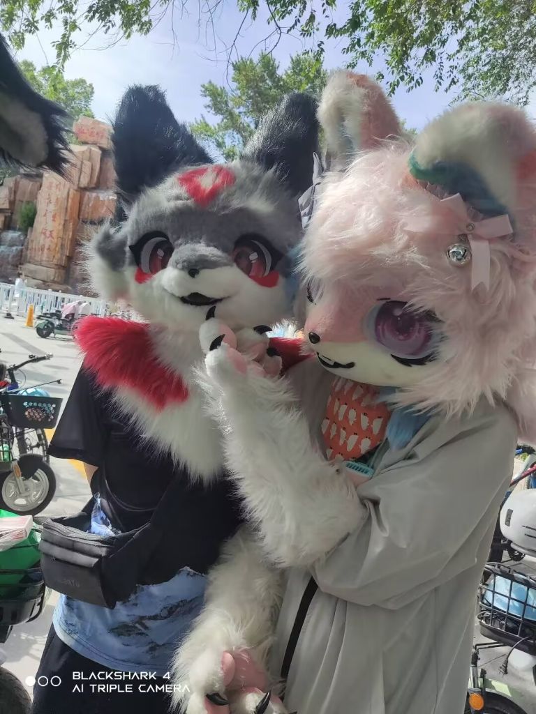 昌吉小聚 展会返图 5-Furry百科