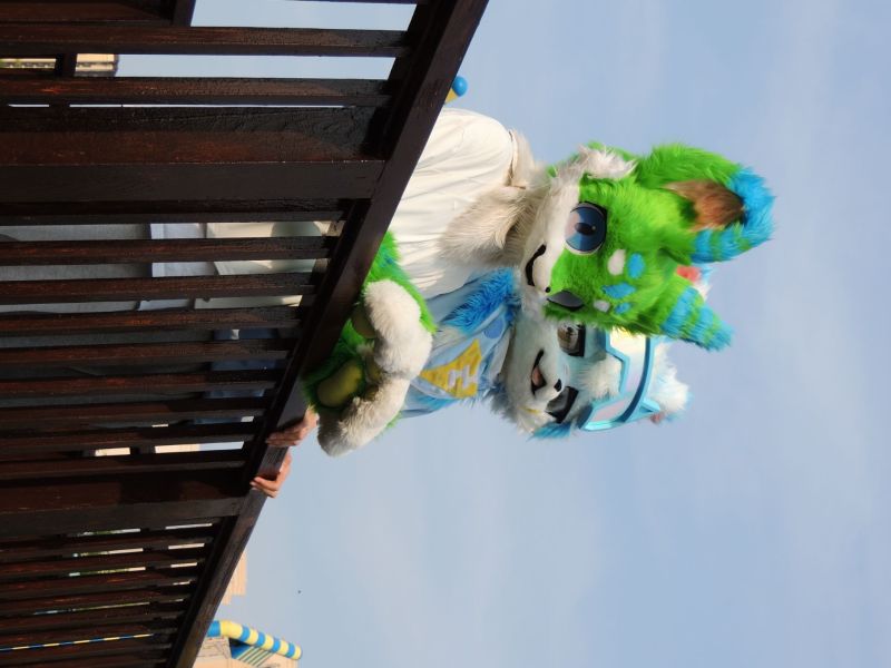 毛毛日常-Furry百科