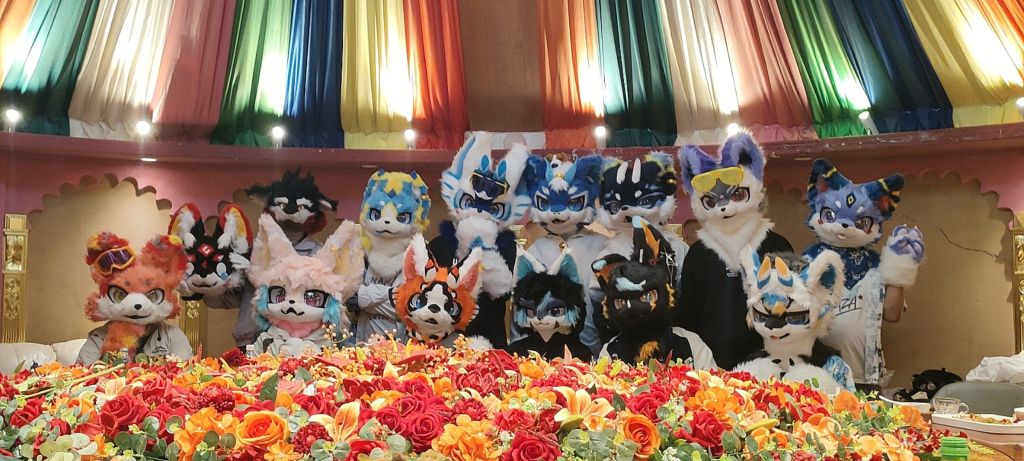 漫展小聚 宣传图集 6-Furry百科