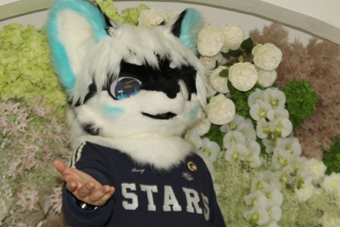 漫展漫展～-Furry百科